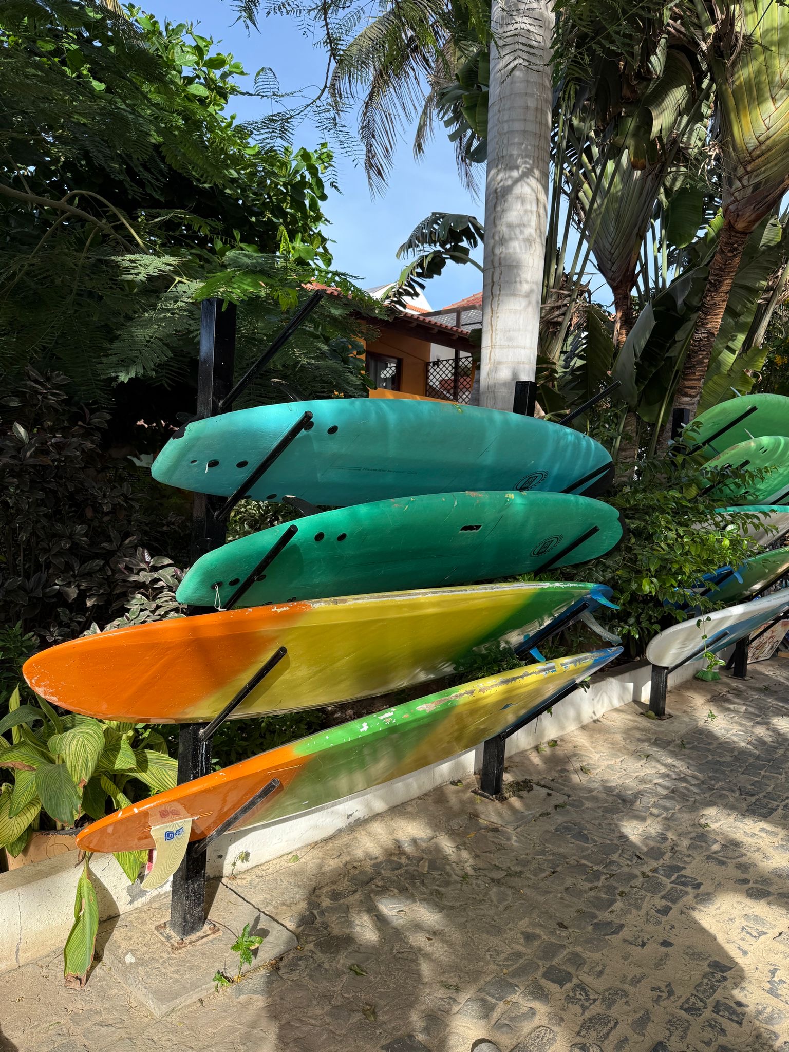 Surfbrädor uppställda.